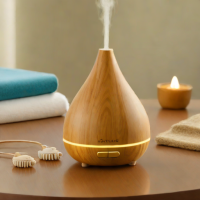 SpaRoom Ultrasonic Diffuser