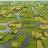 Somerset Levels