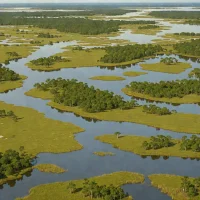 Santee Coastal Reserve