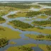 Santee Coastal Reserve