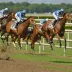 Secretariat vs Sham (1973 Belmont Stakes)