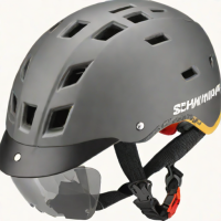 Schwinn Helmet