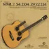 Sor 24 Lessons Op. 31