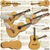 Segovia Diatonic Major and Minor Scales