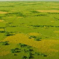 Silingol Steppe
