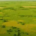 Silingol Steppe