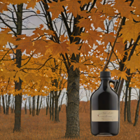 Silloway Maple - Grade A Very Dark Color