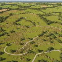 Stoborough Heath