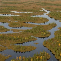 Sax-Zim Bog Wetlands