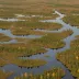Sax-Zim Bog Wetlands