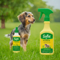 Safe & Nat PestX Flea & Tick Control