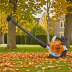 Stihl BR800X Corded Electric Leaf Blower