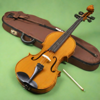 Stentor Primavera Violin Outfit