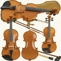 Sawtooth ST-VS100 Student Violin Outfit