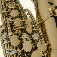 Selmer SA80 Junior Student Alto Saxophone