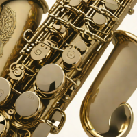 Selmer Centurial C1000 Alto Saxophone
