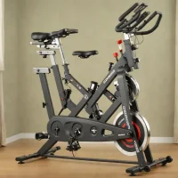 Schwinn IC3