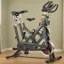 Schwinn IC3