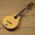 Stentor Student Mandolin
