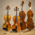 Stentor Violins (Various Models)
