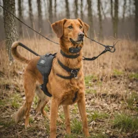 SportDOG TEK 1.0
