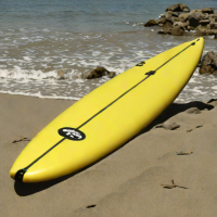 Stretchboard 6'7" The Quad Surfboard