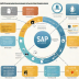 SAP Risk Management