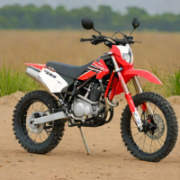 SSR Racing Raptor 300