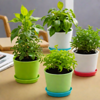 Self-Watering Plastic Plant Pots (Mr. Grow's)