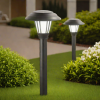 Sun Joe Solar Lights