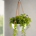 Smart Garden Hanging Planter