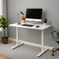 Senston Standing Desk