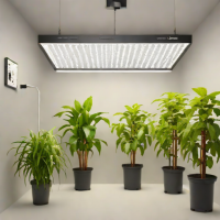 Spider Farmer SF1000 LED Grow Light