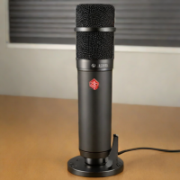 sE Electronics sE2200