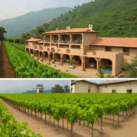 Sukh Sagar Winery (Nepal)