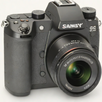 Sannsy Q2S