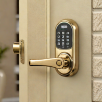 Schlage Encode Plus with Encode Plus Connect