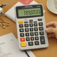 Sunbeam Professional Calculator