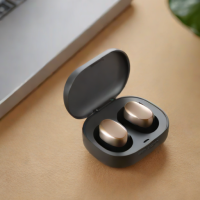 Sony WF-1000XM4 Lite