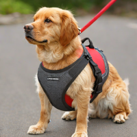 Shinyroad Dog Harness