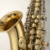 Selmer AS300 Alto Saxophone