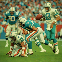 Super Bowl VIII (Dolphins vs. Broncos)