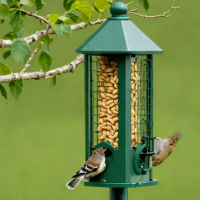 Squirrel Buster Nut & Seed Feeder