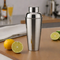 Simple Modern Cocktail Shaker