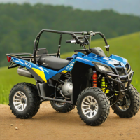 Suzuki QuadSport Z900