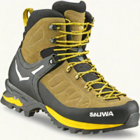 Salewa Mountain Trainer 2 GTX