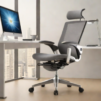 SIHOO Ergonomic Office Chair