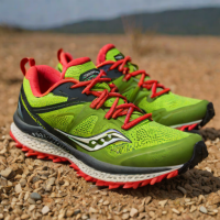 Saucony Peregrine 13