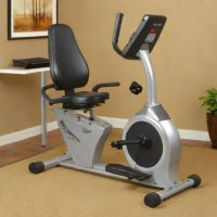 Stamina Magnetic Resistance Recumbent Bike
