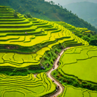 Sapa Trekking, Vietnam
